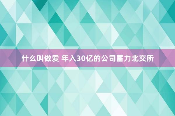 什么叫做爱 年入30亿的公司蓄力北交所