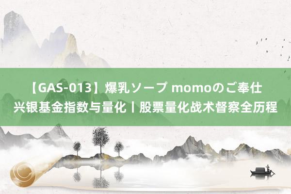 【GAS-013】爆乳ソープ momoのご奉仕 兴银基金指数与量化丨股票量化战术督察全历程