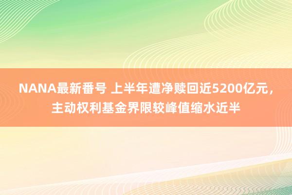 NANA最新番号 上半年遭净赎回近5200亿元，主动权利基金界限较峰值缩水近半