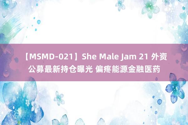 【MSMD-021】She Male Jam 21 外资公募最新持仓曝光 偏疼能源金融医药