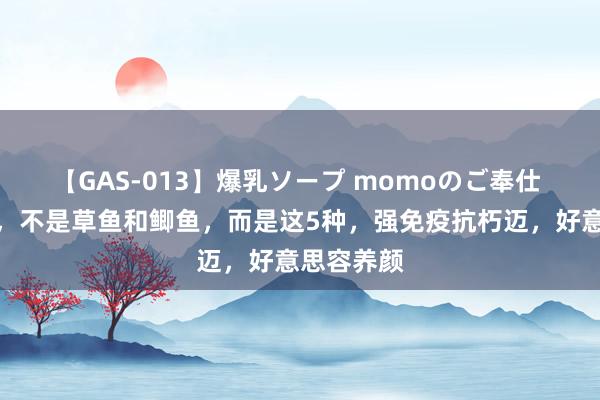 【GAS-013】爆乳ソープ momoのご奉仕 大补的鱼，不是草鱼和鲫鱼，而是这5种，强免疫抗朽迈，好意思容养颜