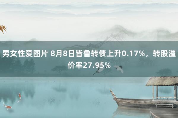 男女性爱图片 8月8日皆鲁转债上升0.17%，转股溢价率27.95%