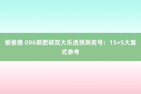 偷偷撸 096期肥硕双大乐透预测奖号：15+5大复式参考