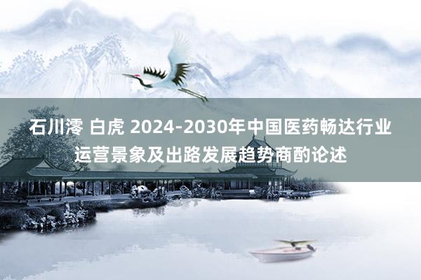 石川澪 白虎 2024-2030年中国医药畅达行业运营景象及出路发展趋势商酌论述