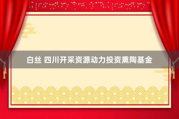 白丝 四川开采资源动力投资熏陶基金