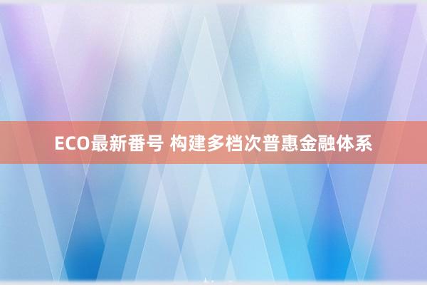 ECO最新番号 构建多档次普惠金融体系