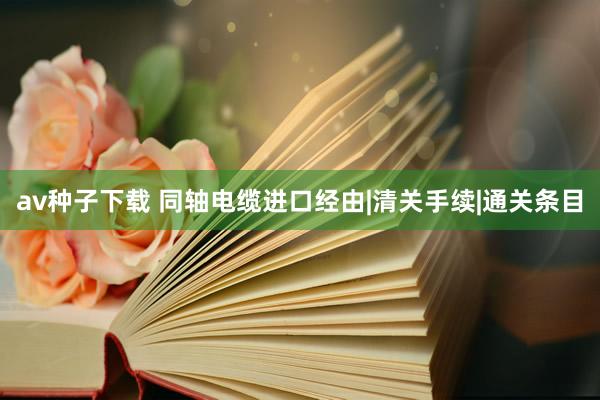 av种子下载 同轴电缆进口经由|清关手续|通关条目