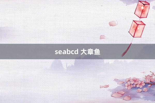 seabcd 大章鱼