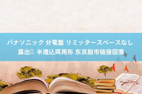 パナソニック 分電盤 リミッタースペースなし 露出・半埋込両用形 东京股市链接回落