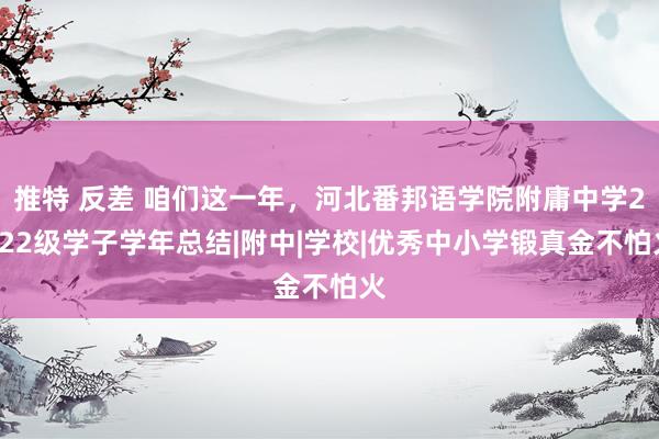 推特 反差 咱们这一年，河北番邦语学院附庸中学2022级学子学年总结|附中|学校|优秀中小学锻真金不怕火