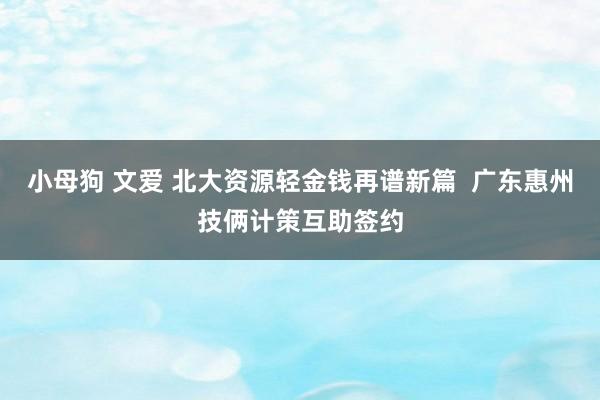 小母狗 文爱 北大资源轻金钱再谱新篇  广东惠州技俩计策互助签约