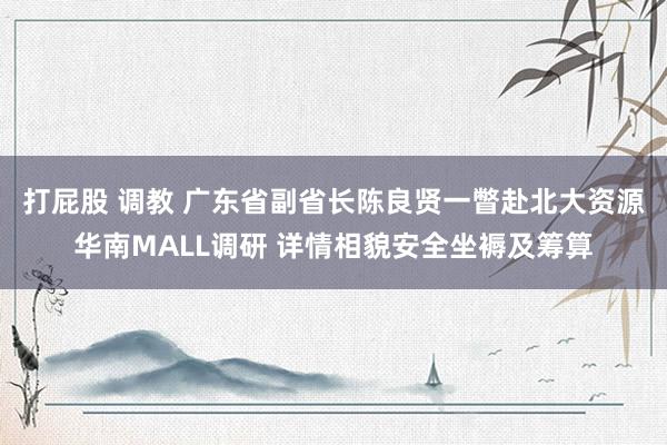 打屁股 调教 广东省副省长陈良贤一瞥赴北大资源华南MALL调研 详情相貌安全坐褥及筹算