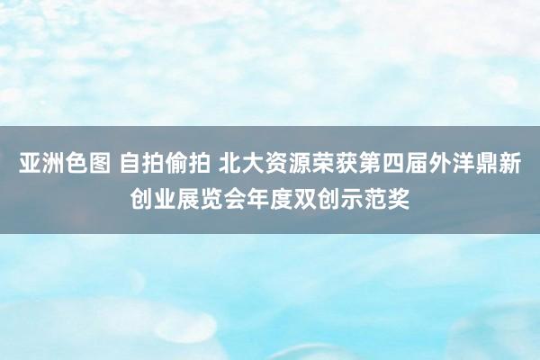 亚洲色图 自拍偷拍 北大资源荣获第四届外洋鼎新创业展览会年度双创示范奖