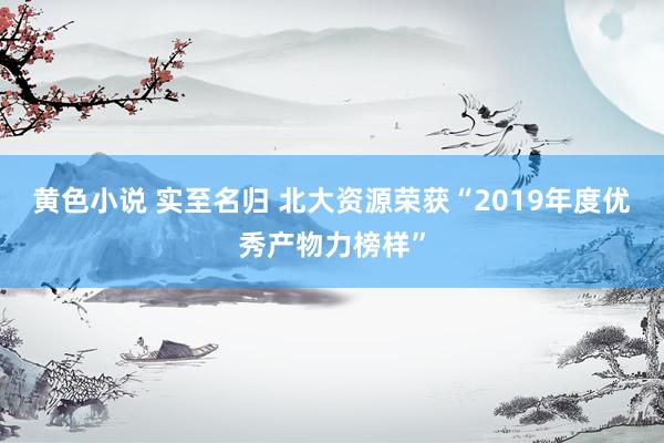 黄色小说 实至名归 北大资源荣获“2019年度优秀产物力榜样”